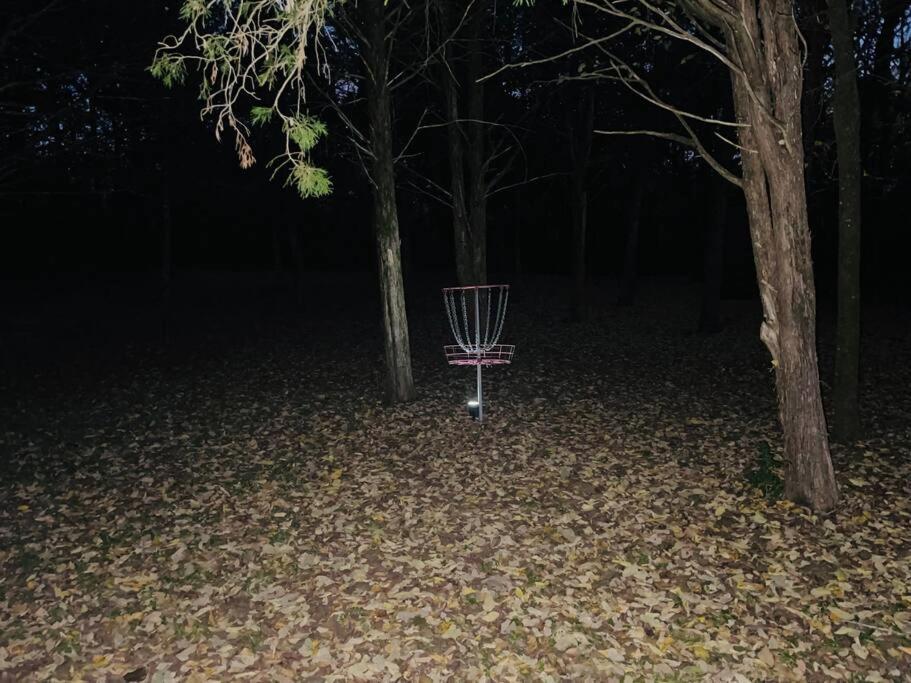 Bastrop Tiny Disc Golf Retreat Villa Ngoại thất bức ảnh