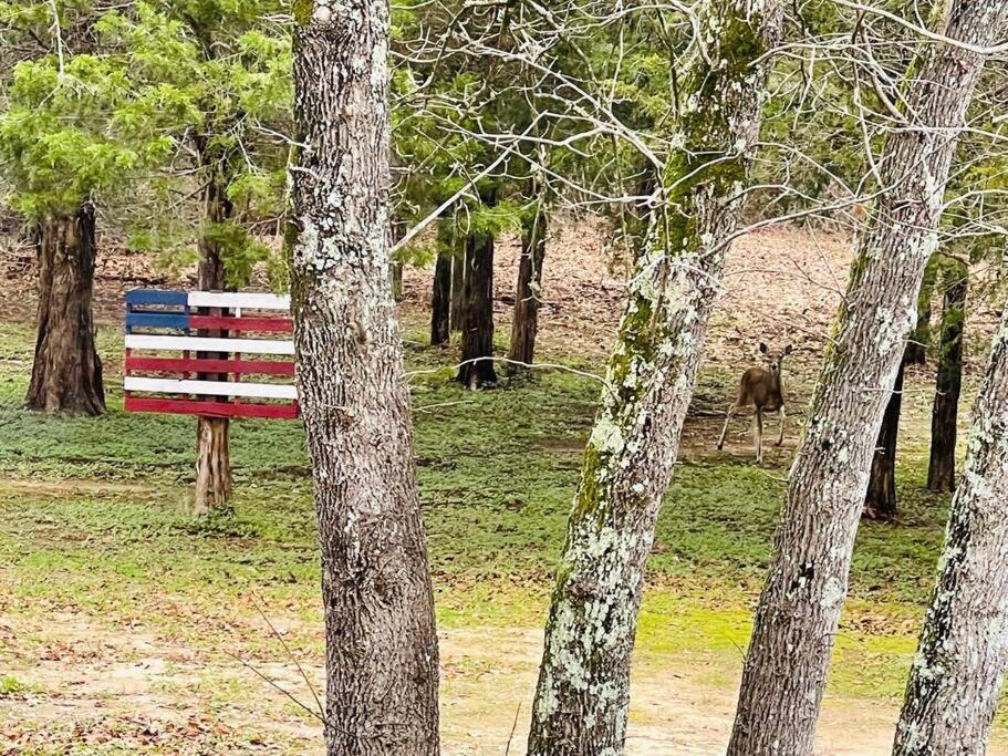 Bastrop Tiny Disc Golf Retreat Villa Ngoại thất bức ảnh